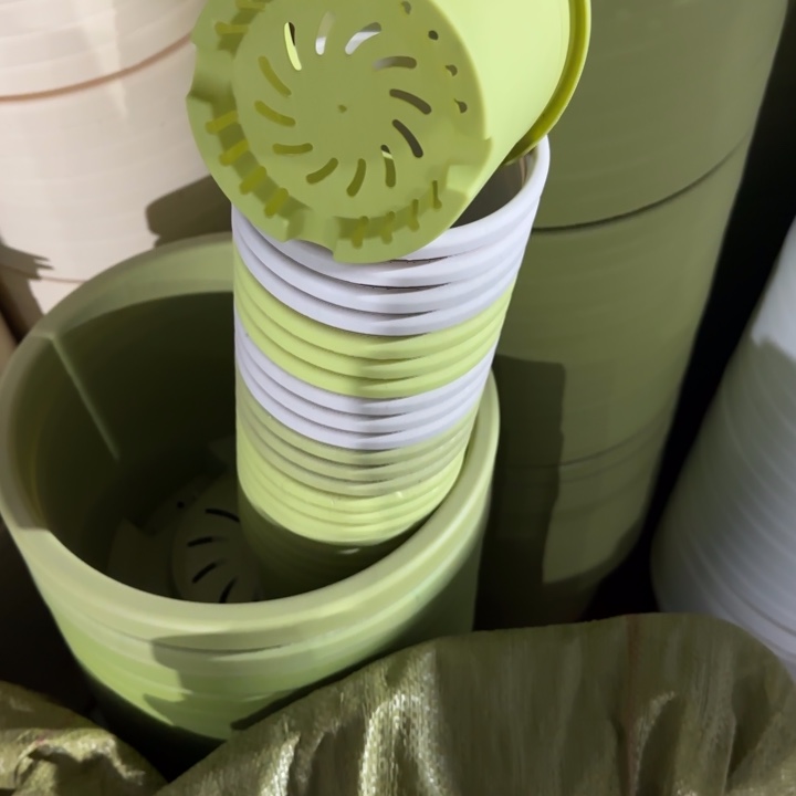 四季1号10个果绿色的口径14
