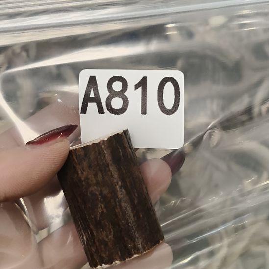 半***雨鹿角鹿角鹿角鹿角鹿角