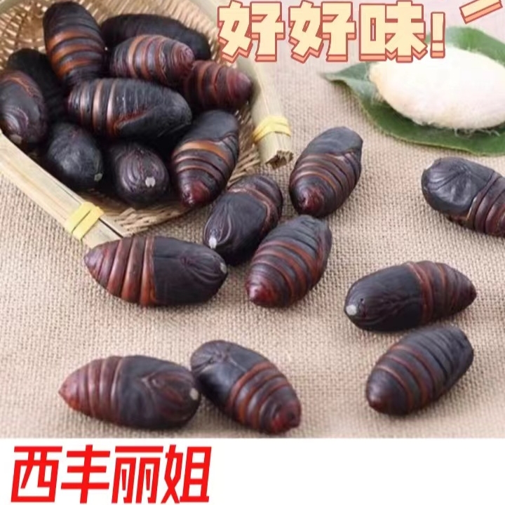 西丰柞蚕蛹小黑（3～4㎝）