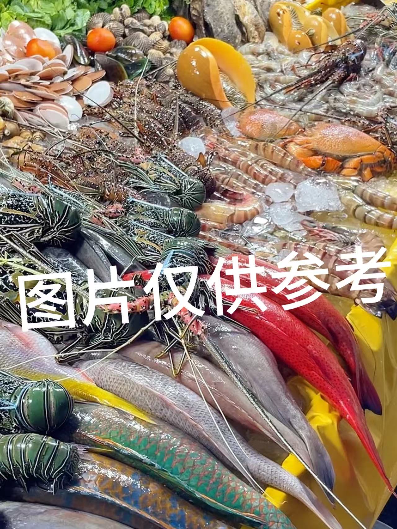 直播现秤2 君君石浦海鲜 3斤 新鲜发货