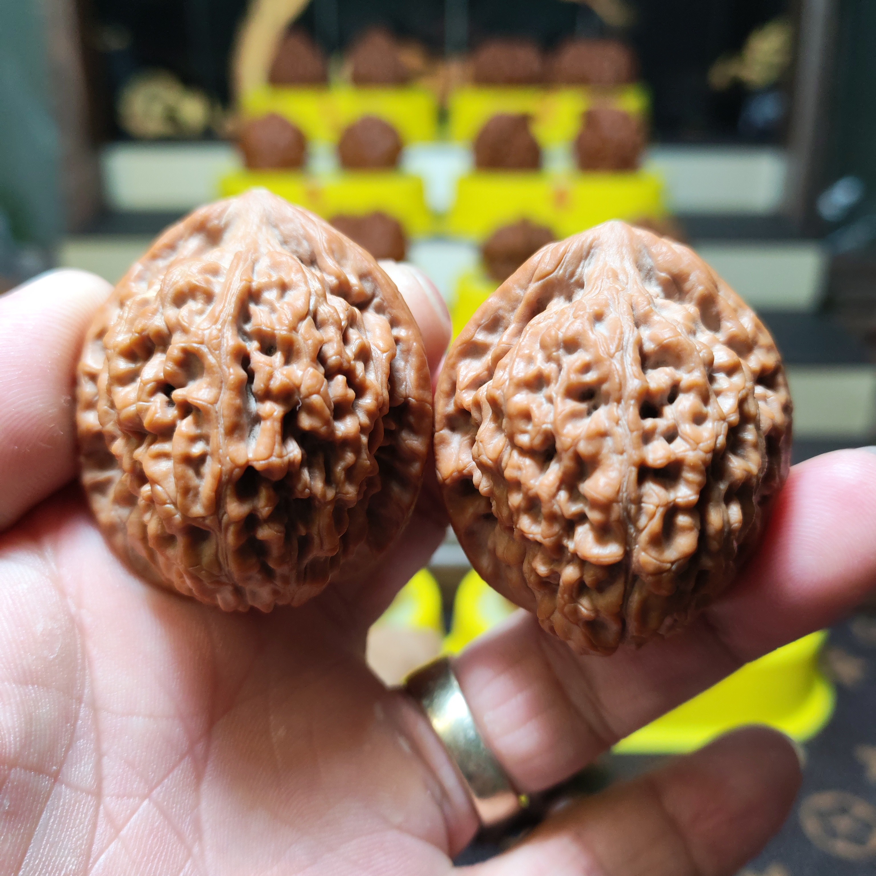 38尺全品原桩莲花/专项白茬/粉丝放大漏/不容错过