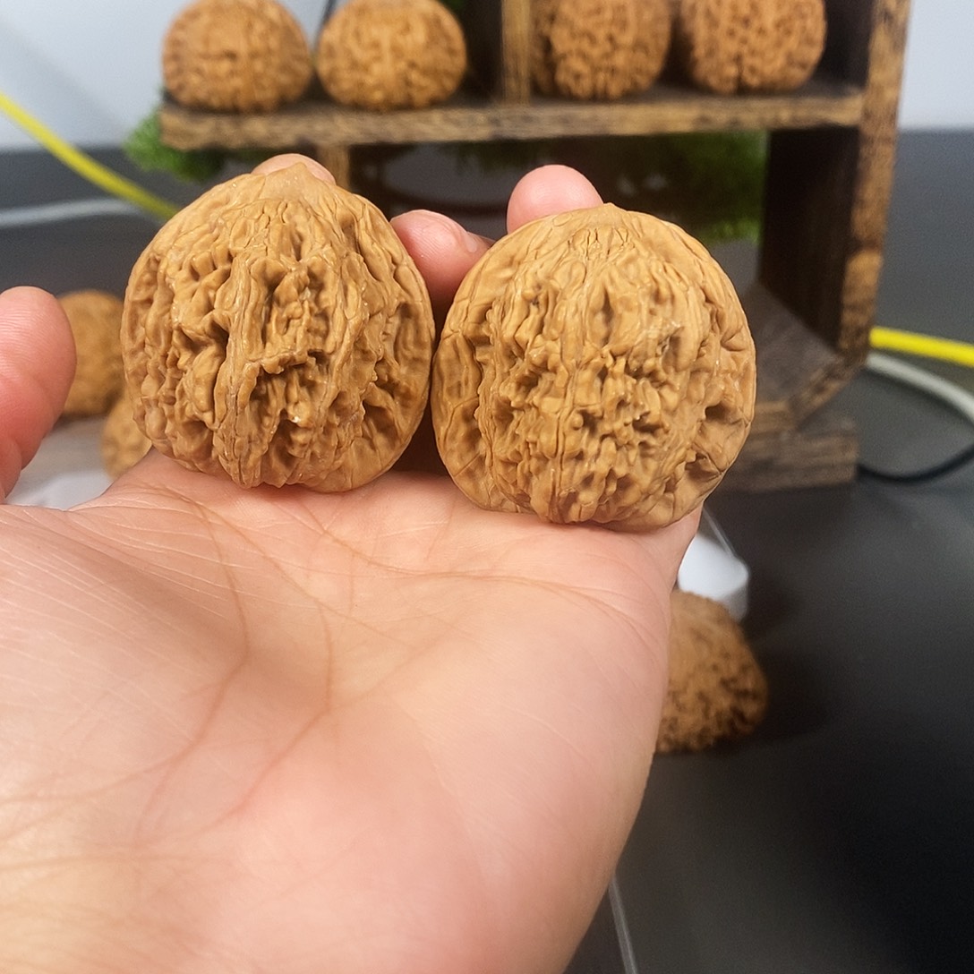 把件文玩核桃老树红皮麦虎骨质超棒