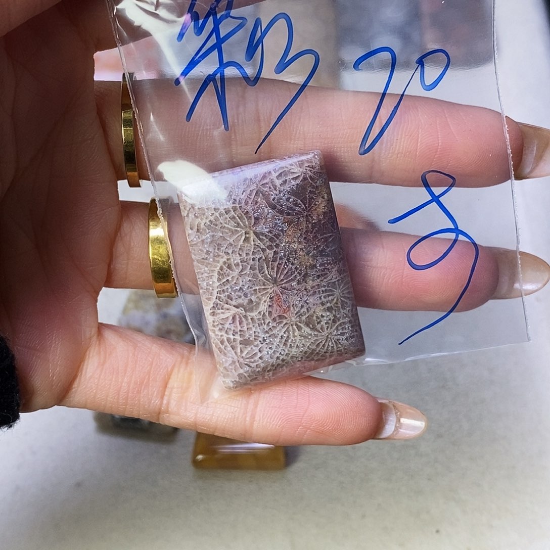 查罗石合金颈饰彩*