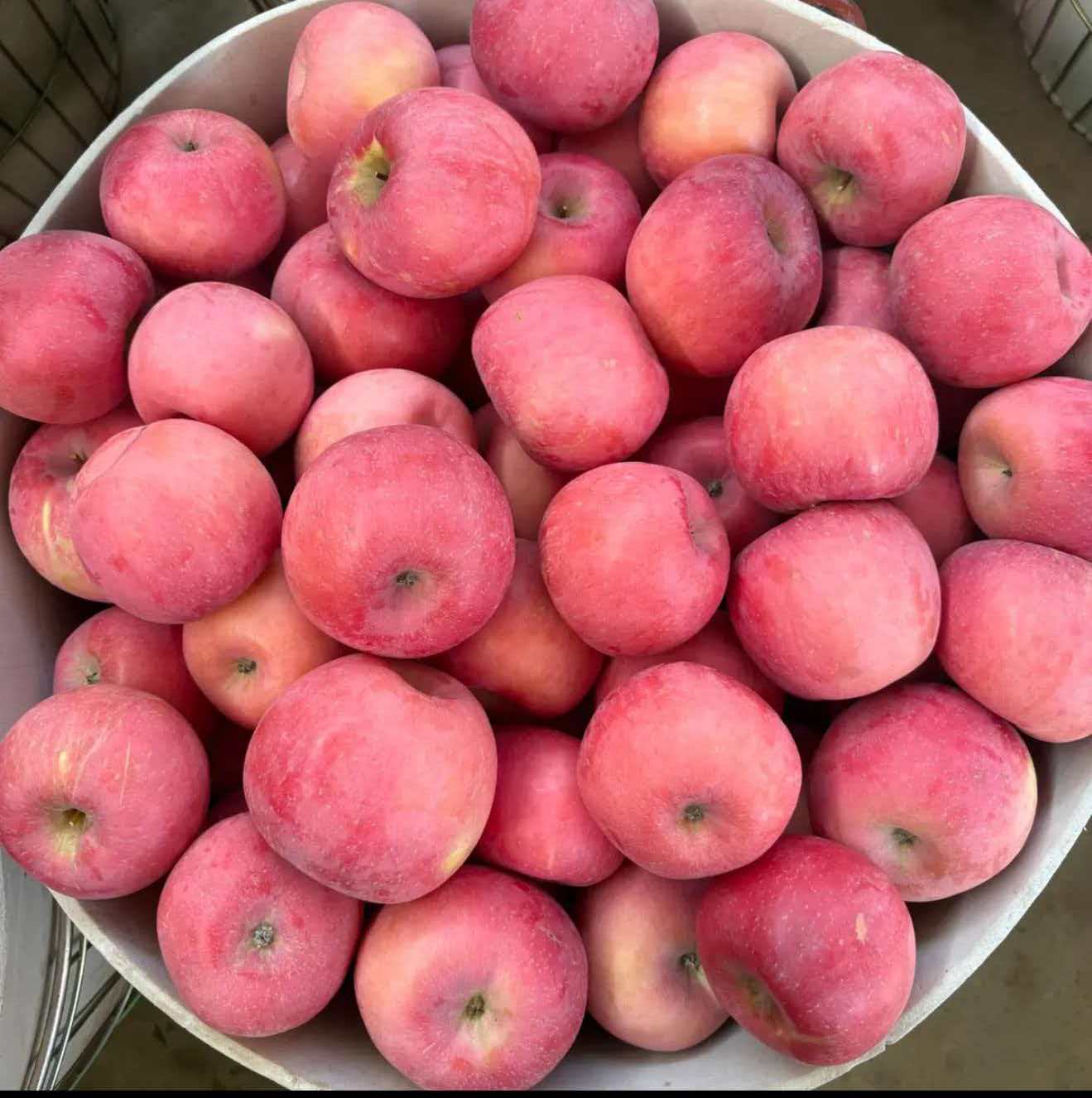 山东烟台栖霞红富士 产地直发不催熟不打蜡脆甜