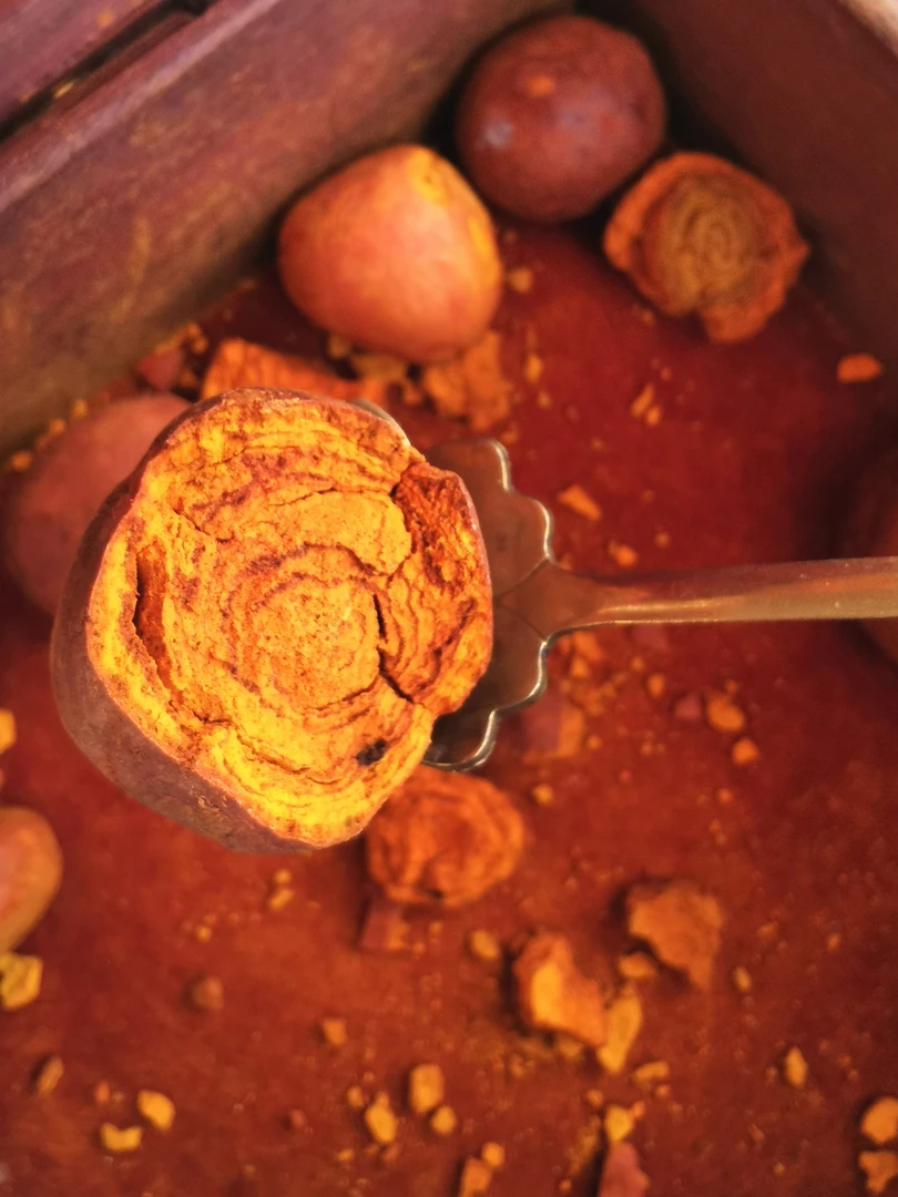 临时链接 䒜—簧 土特产菇