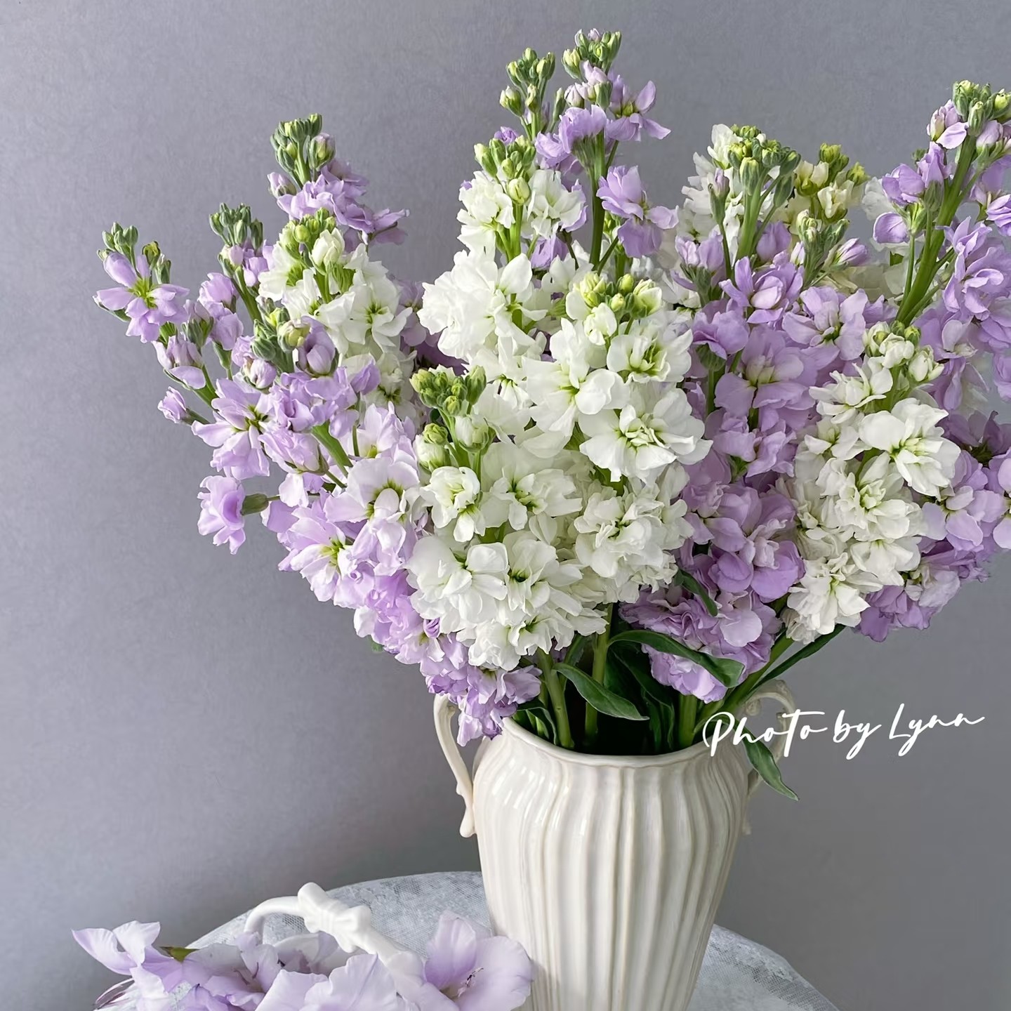 单支紫罗兰颜色随机［满38起送］