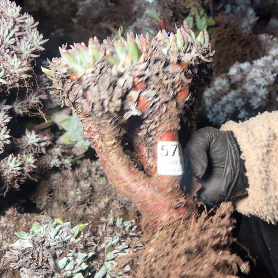 5731哈哈哈哈哈哈哈哈