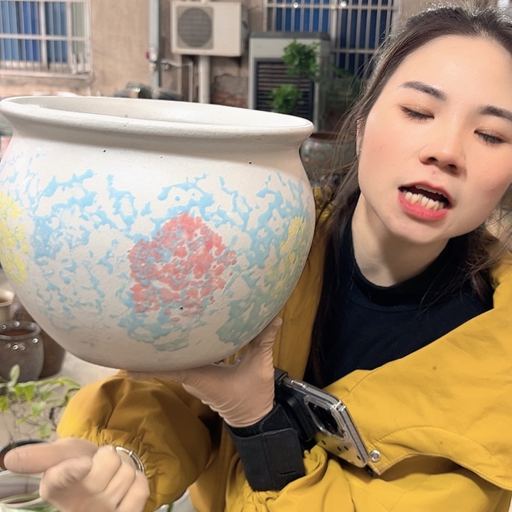 正品口25高21花盆……