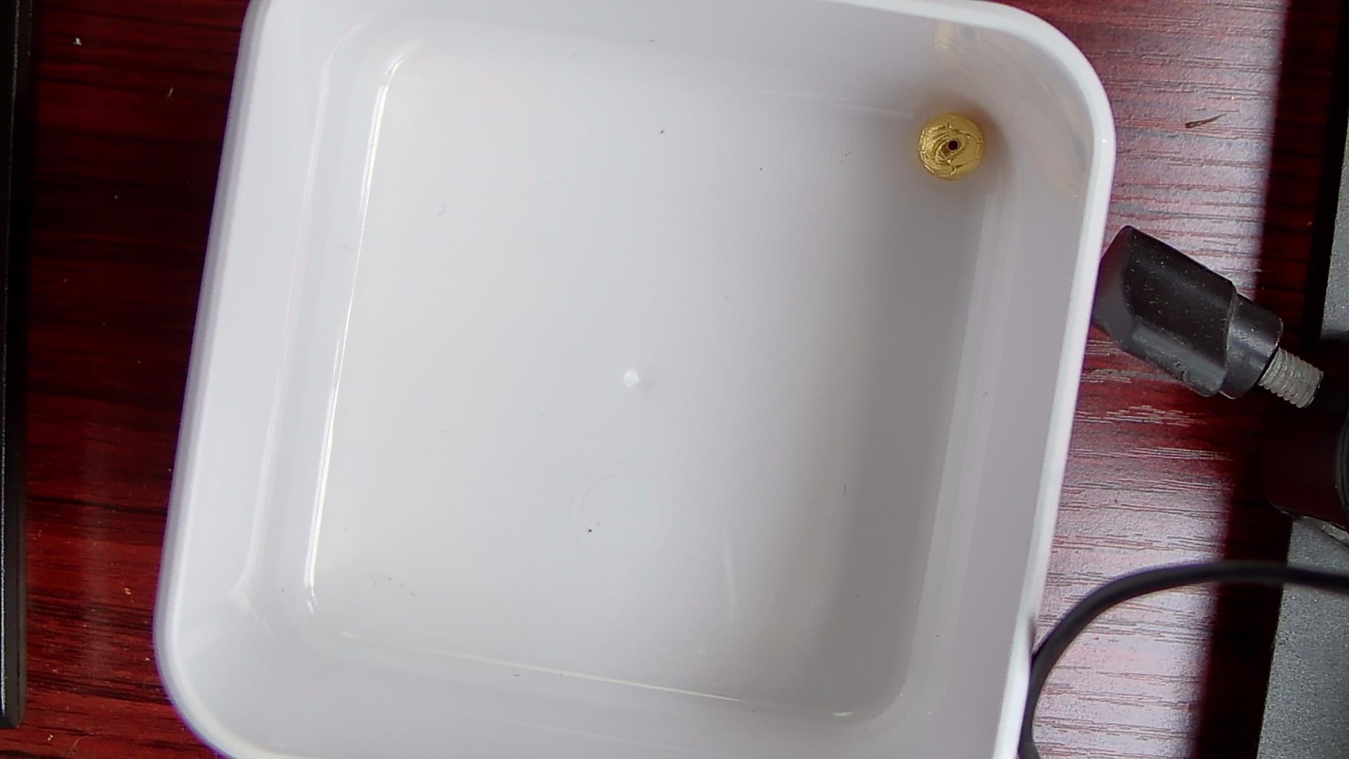 黄金足金小金 豆 