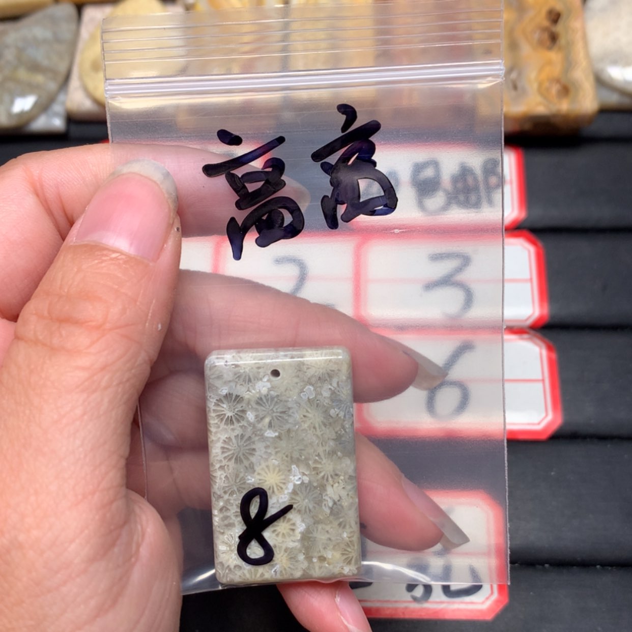 【闪购商品】未镶嵌颈饰硅化玉高****6