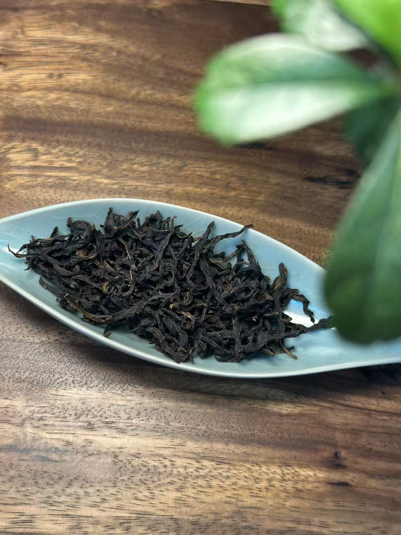 凤凰单丛【锯朵仔】