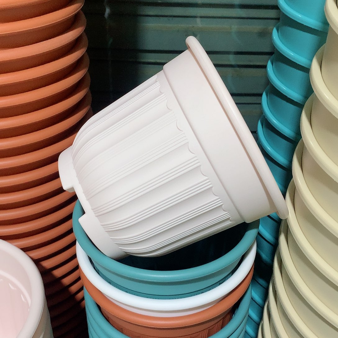 树脂罗马口21分4个无托