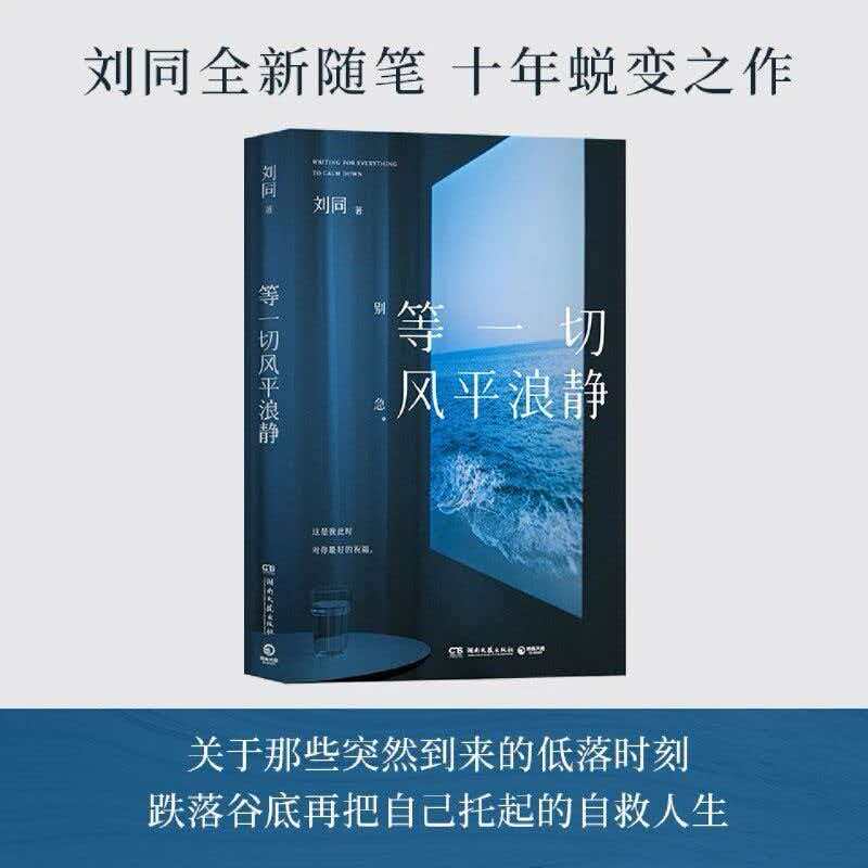 等一切风平浪静 刘同新书 写给不想放弃的人清理内心藤壶人生低