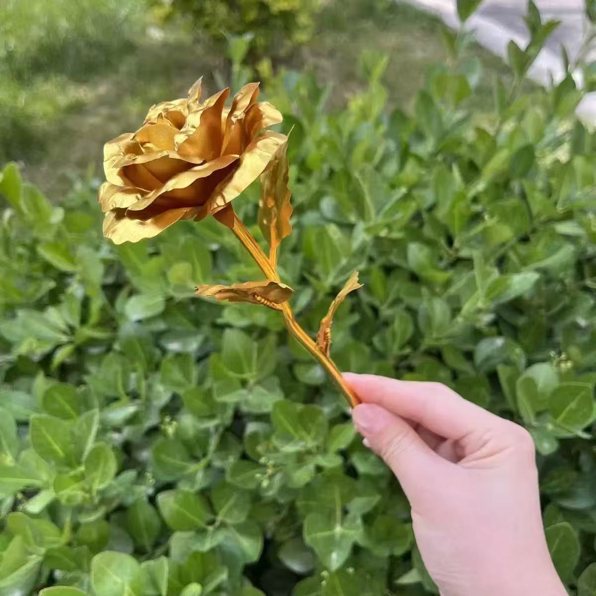 蚀金玫瑰