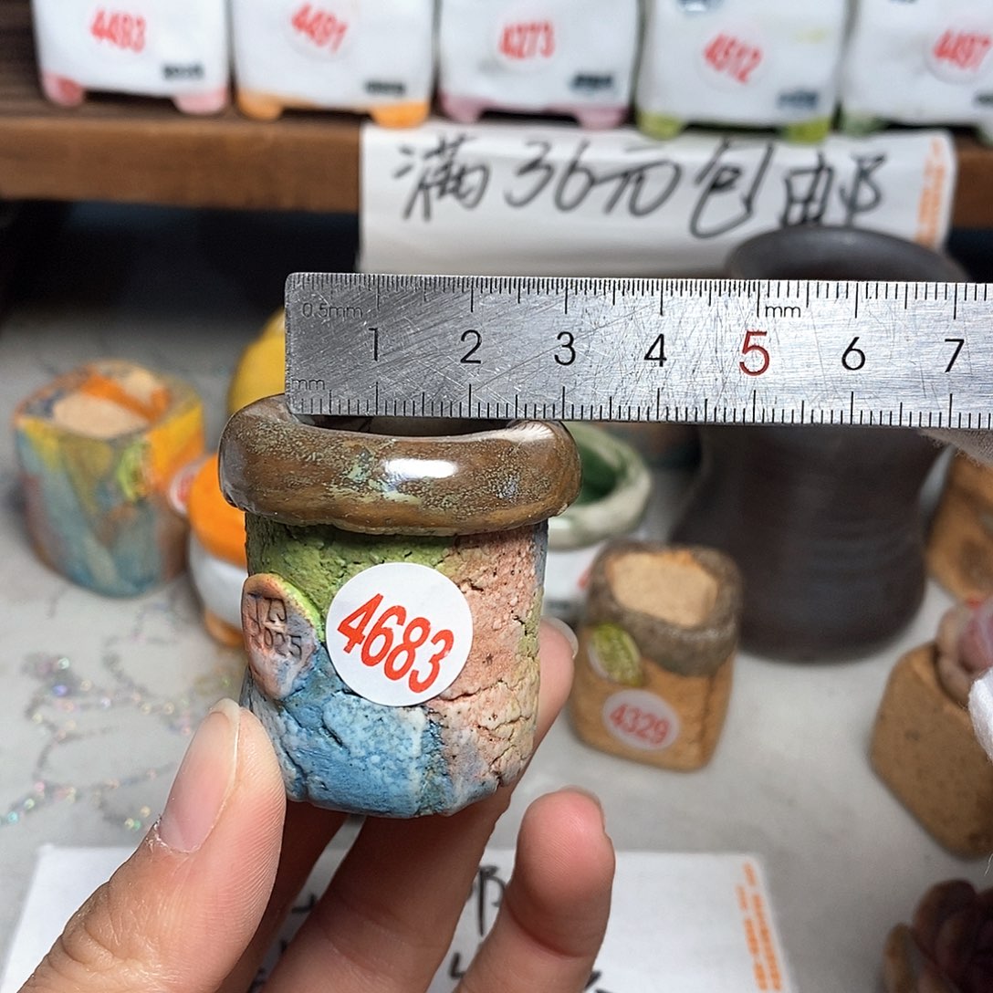 红陶拍5送一个小