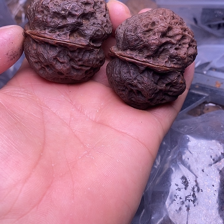 把件文玩核桃   74