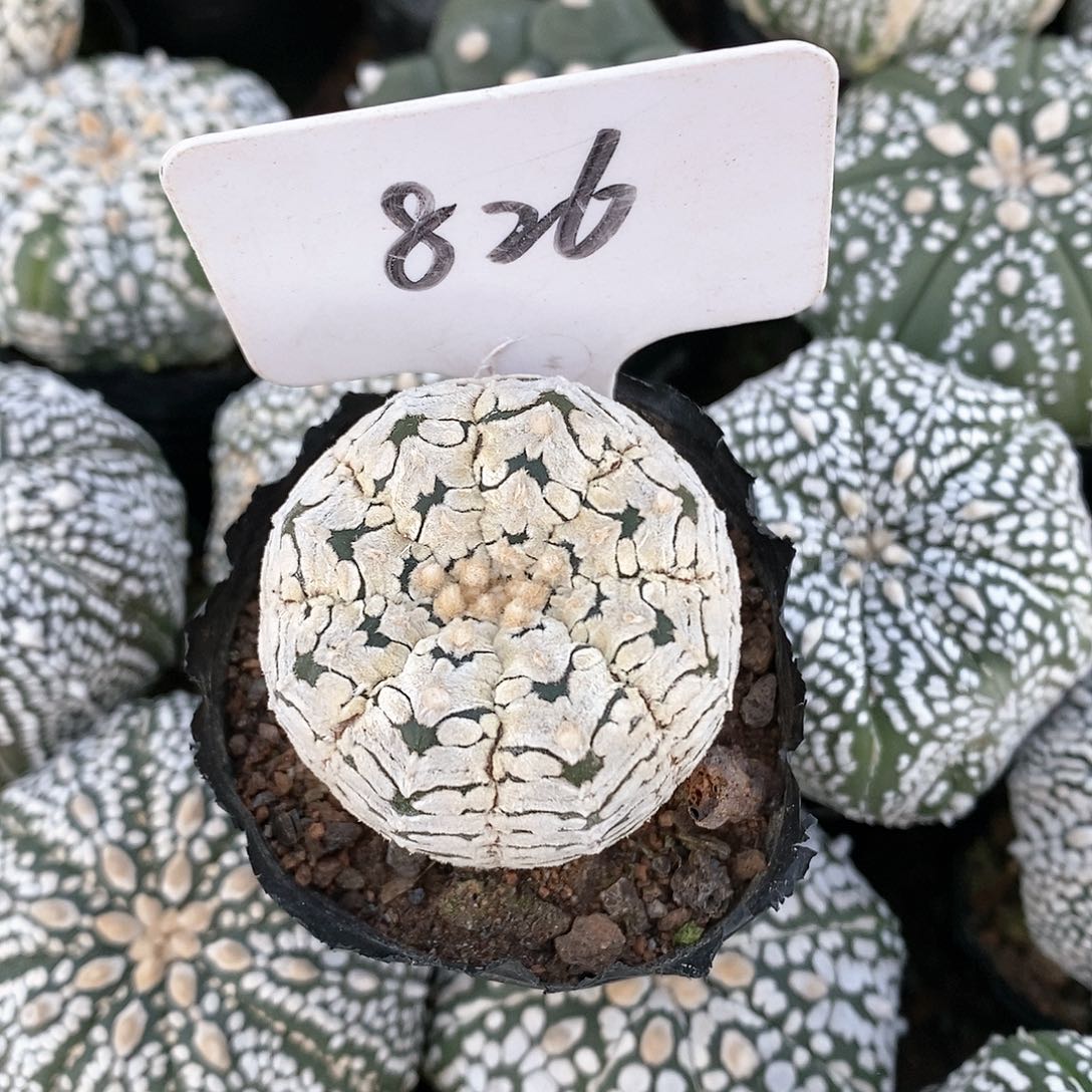 福利待遇也不错的呢哈