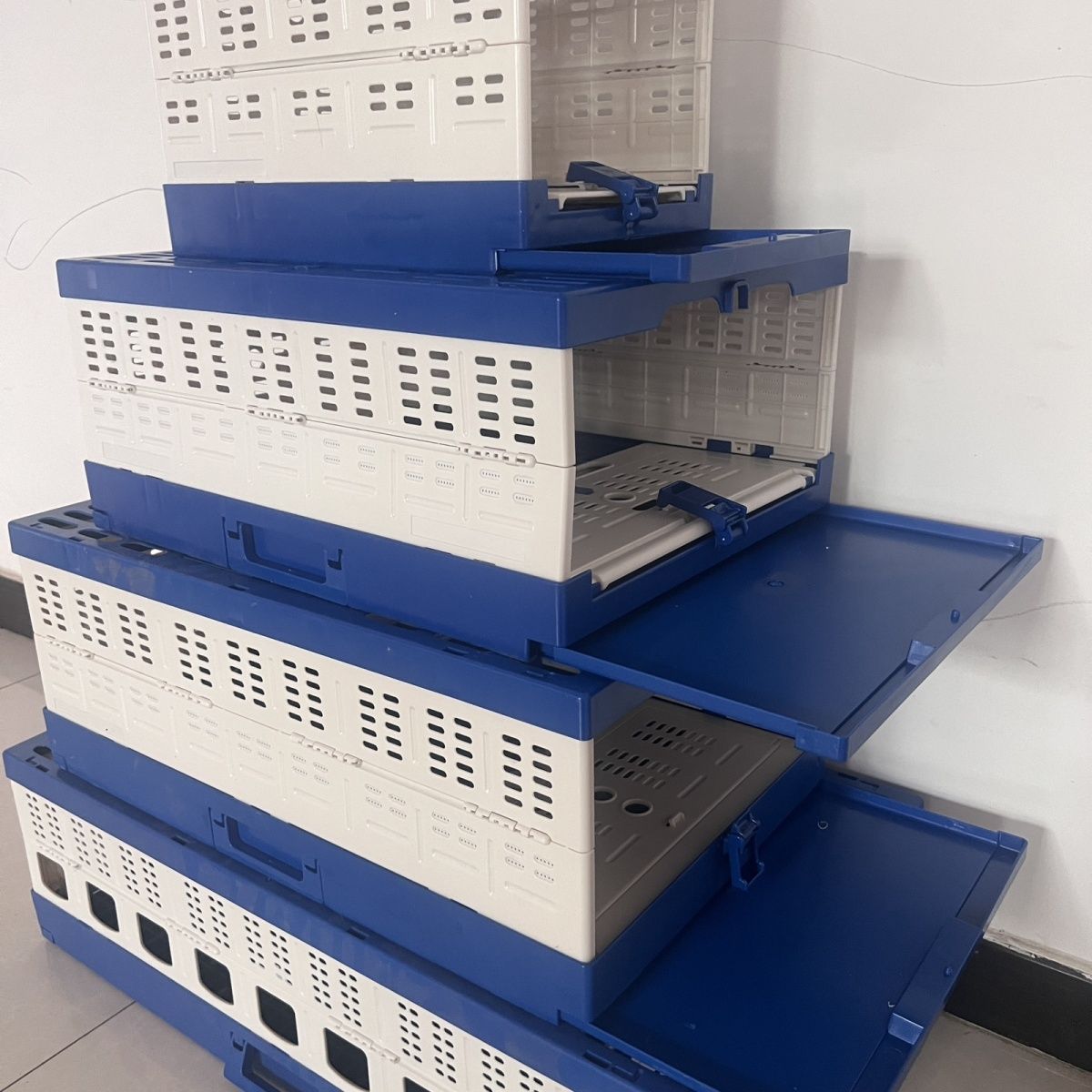 鸽子放飞笼 赛鸽信鸽专用 塑料制品 可以折叠 40 50 60 80