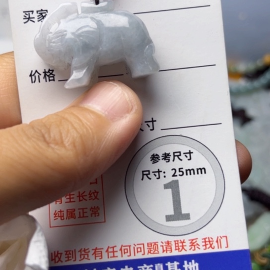 翡翠未镶嵌颈饰挂件