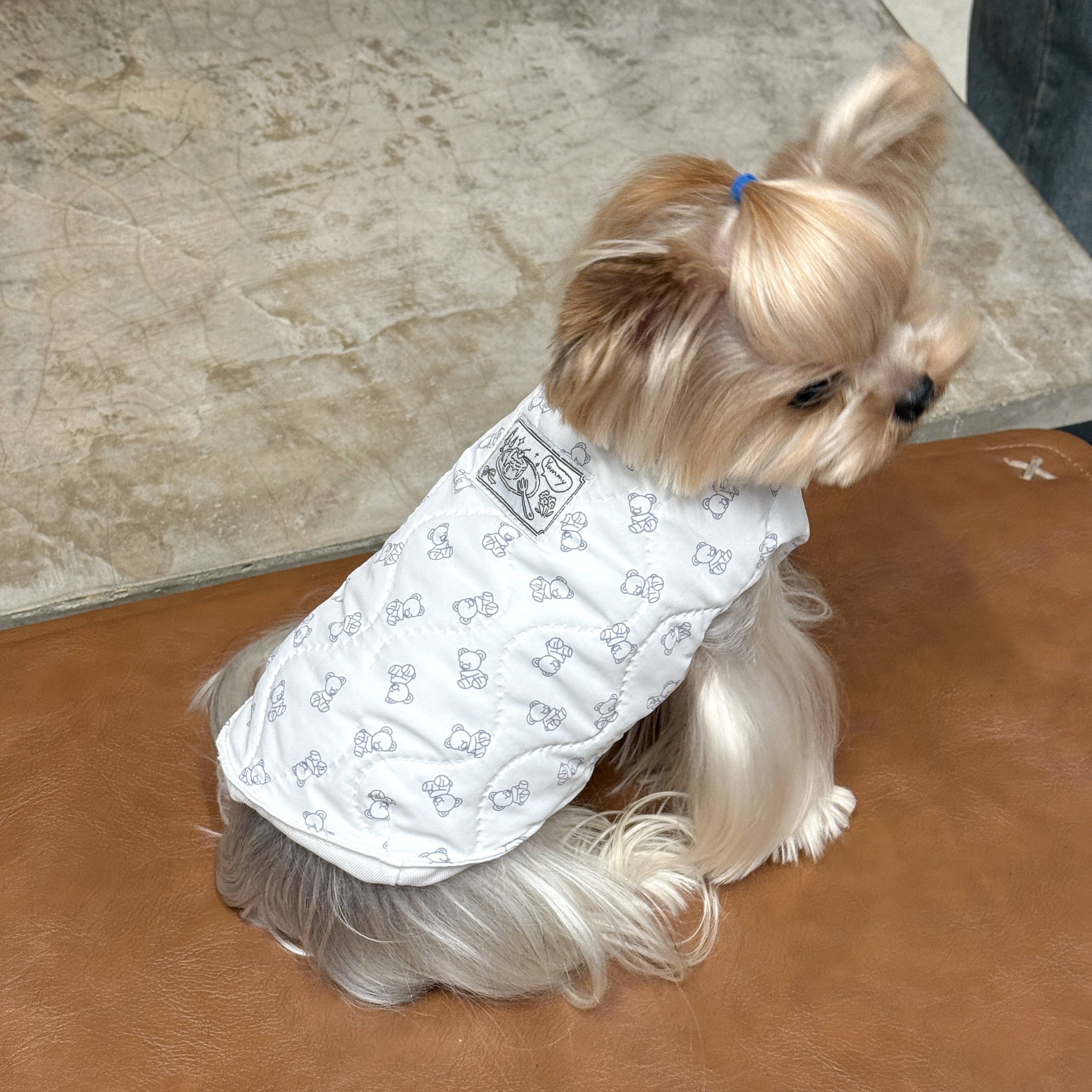 小甜粥宠物服韩系卡通小熊狗狗夹棉马甲约克夏马尔济斯外套衣服