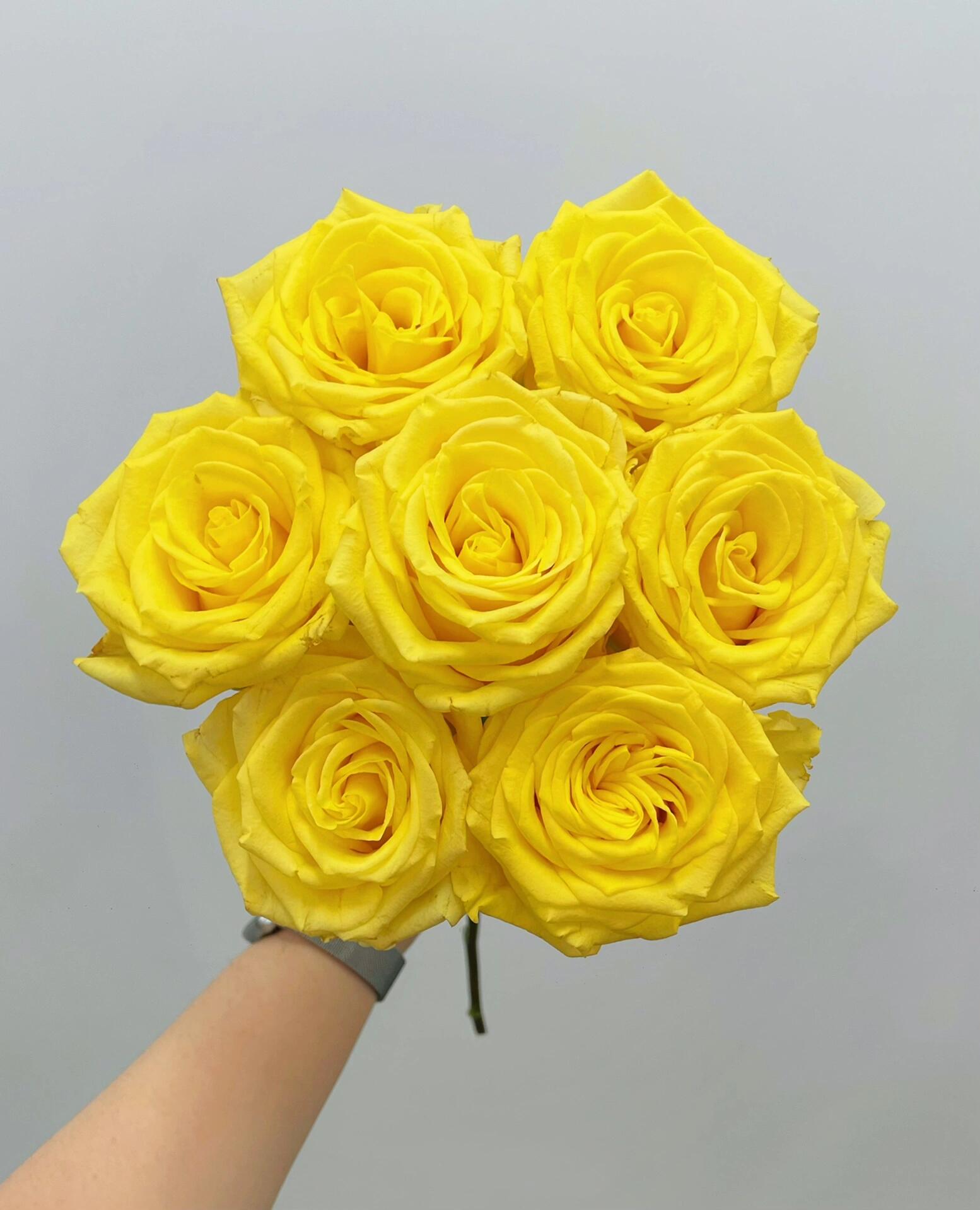 【福利套餐 】套餐A12 云南基地直发 鲜花 水养