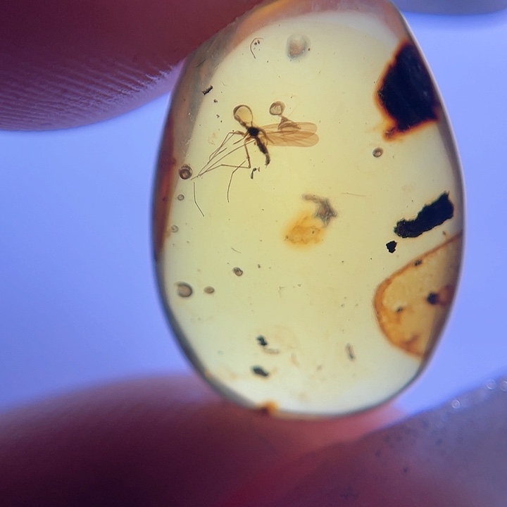 琥珀裸石未镶嵌。