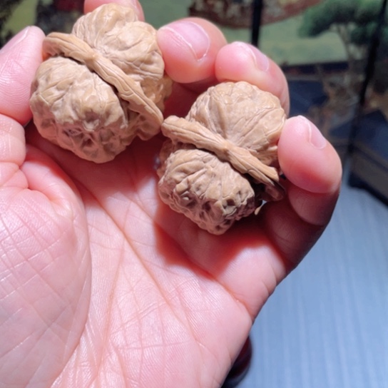 文玩核桃吊坠36蛙蛙