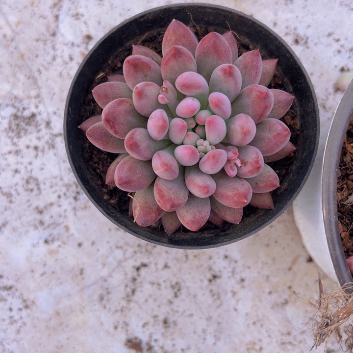 健健康康平平安安