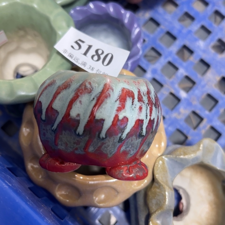 口3高4 ……手工花盆30元包邮