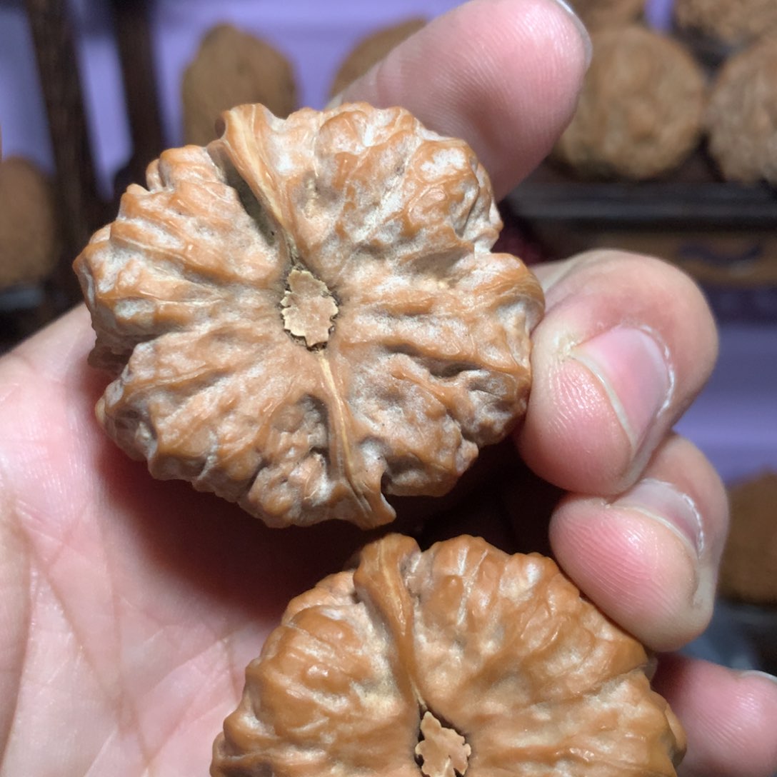 文玩核桃把件就*玩就是玩哥专拍蛤蟆头