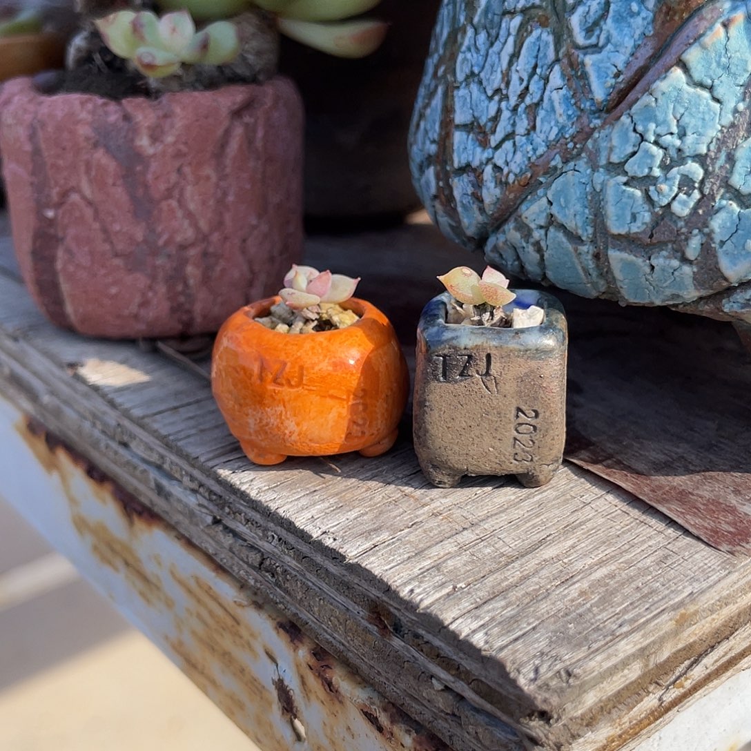 包***F哈哈哈哈哈哈哈哈