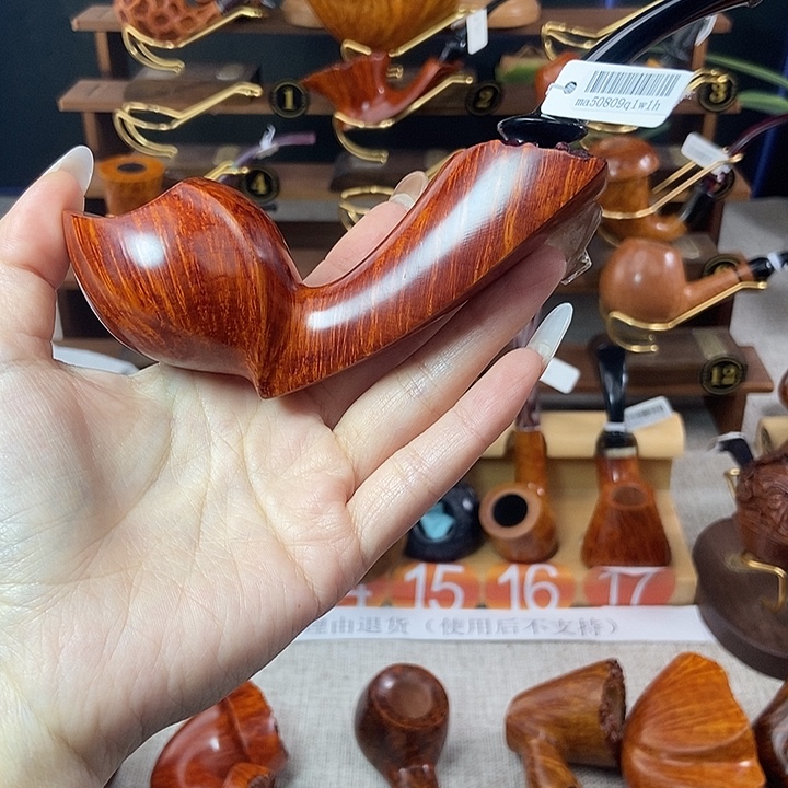 一***帆瘤皮长腿自由式浅色河豚