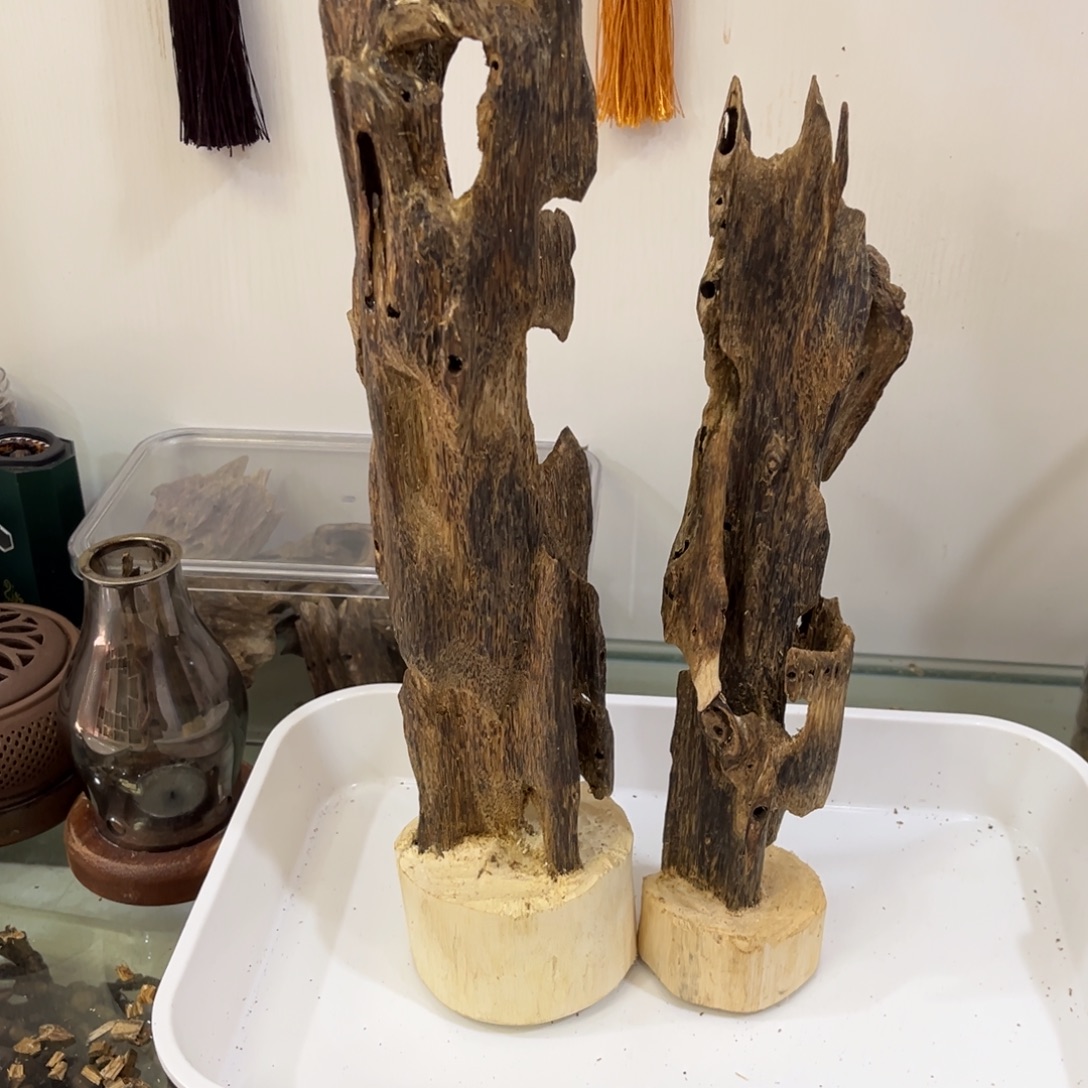 春***助沉香摆件沉香棋楠虫摆件590