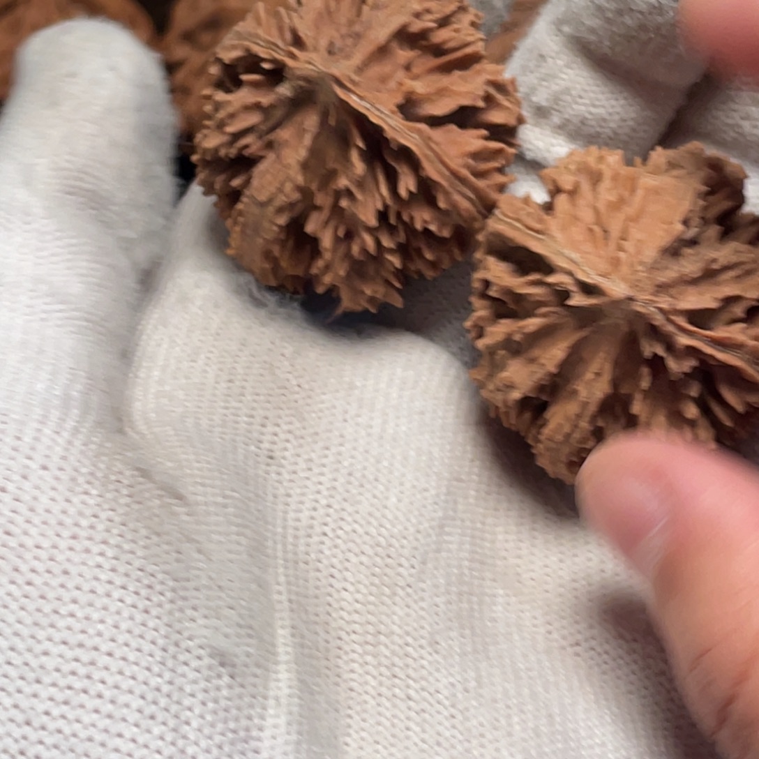 桃核吊坠6 秦岭灯笼野生小众