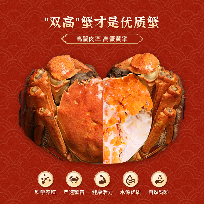 珍澄蟹【活蟹】现货全母蟹3.0-3.3两4只送2只大闸蟹礼盒装新鲜