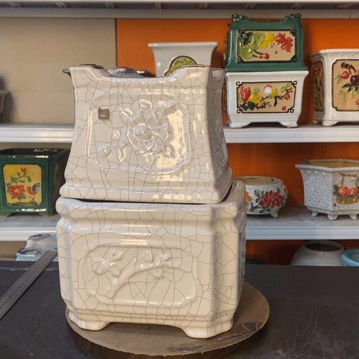 红陶U*o花盆里的小猫咪们