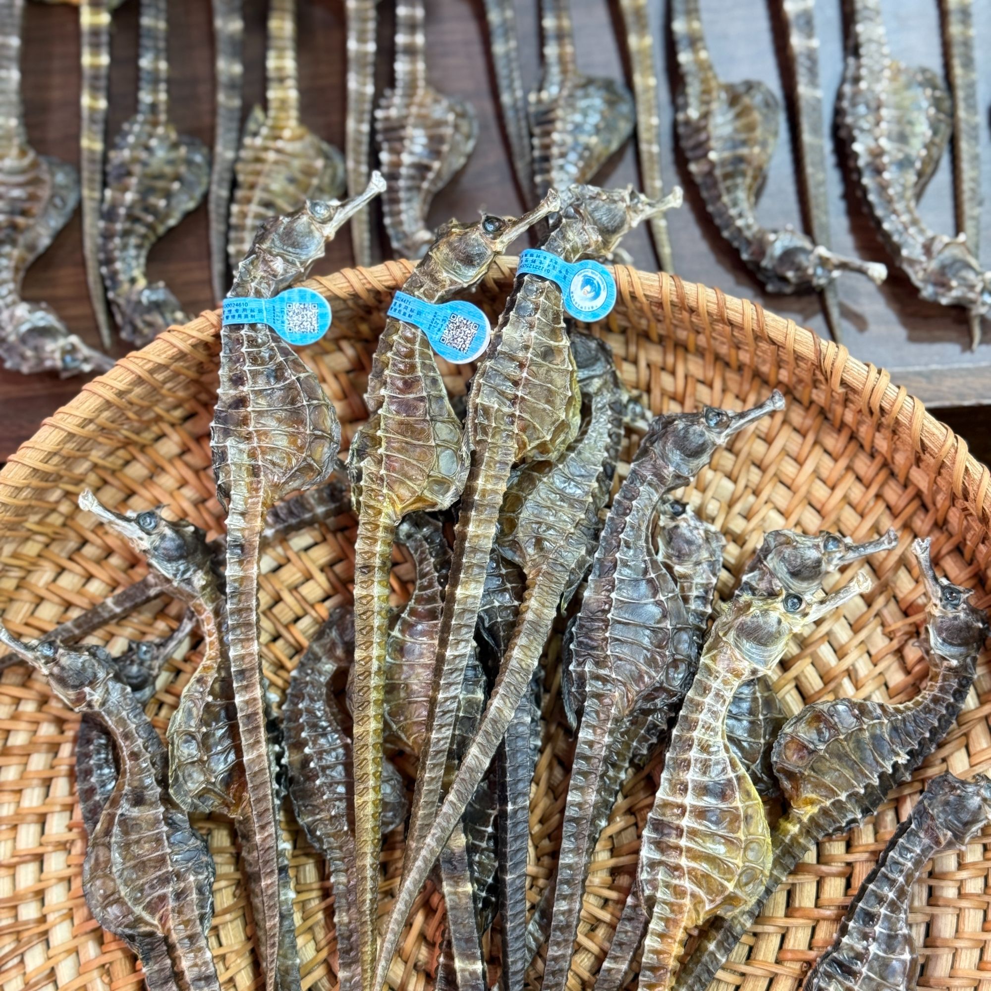 冰冰甄选 3-4克/条蓝标溯源码精选大海马足干生晒海马干