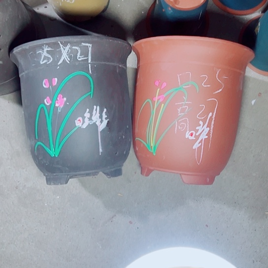 紫砂紫砂紫砂紫砂 
