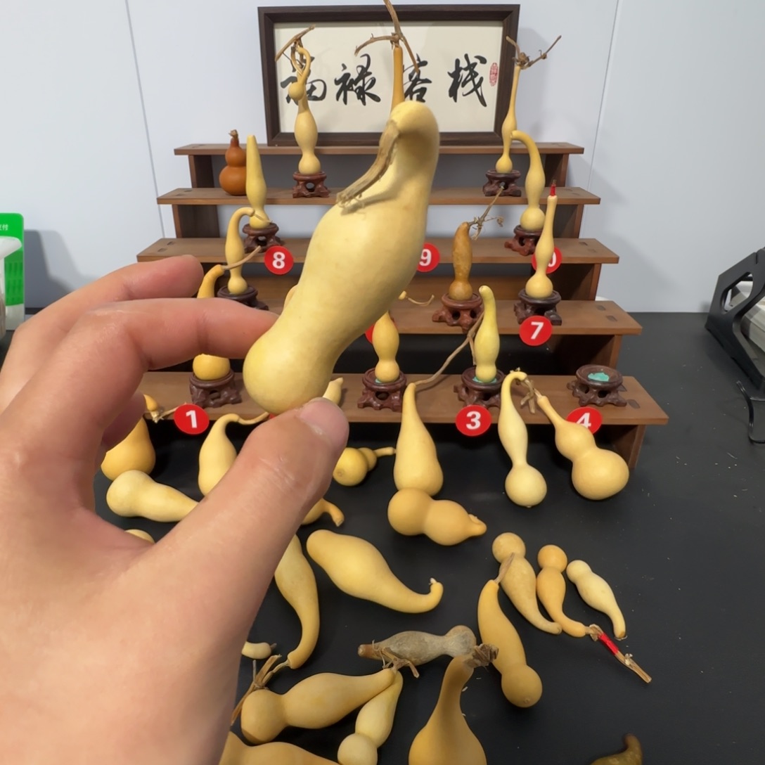 空***白大叶紫檀（黑酸枝木类）