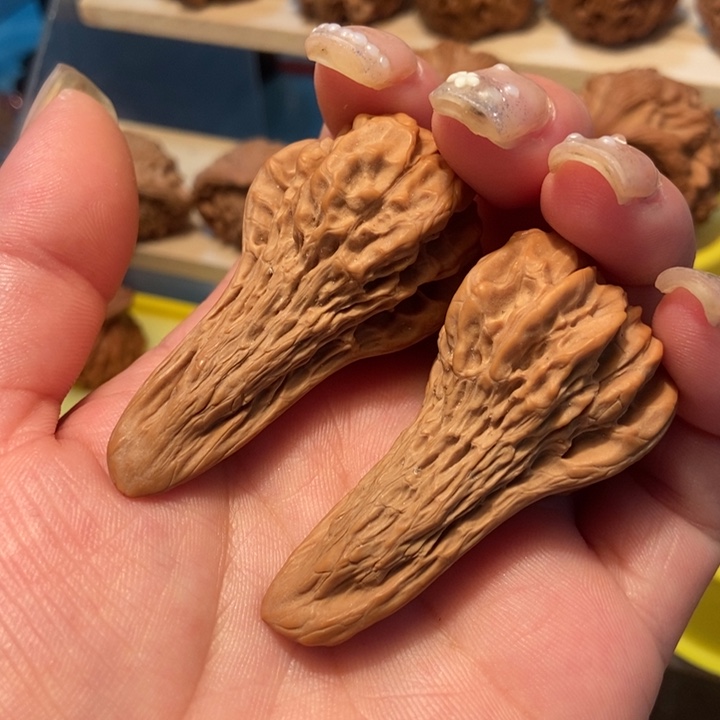 指*员官方网站发布鸭嘴