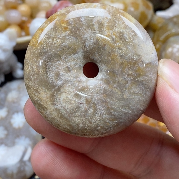 硅化珊瑚（珊瑚玉）颈饰未镶嵌