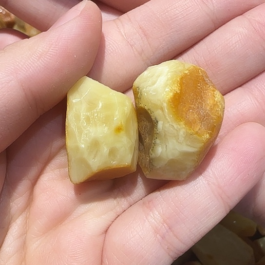 定制琥珀未镶嵌清*枫蜜蜡