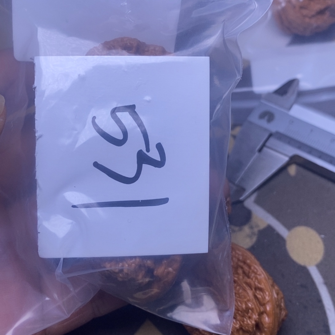 瘦***电核桃凤凰台尺寸42