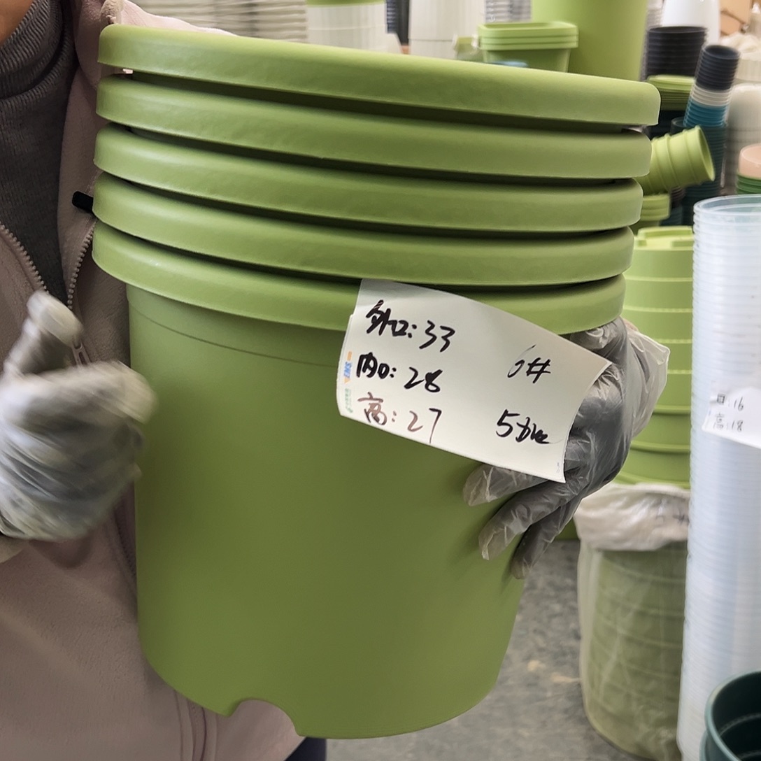 四季盆6#果绿色5个无托