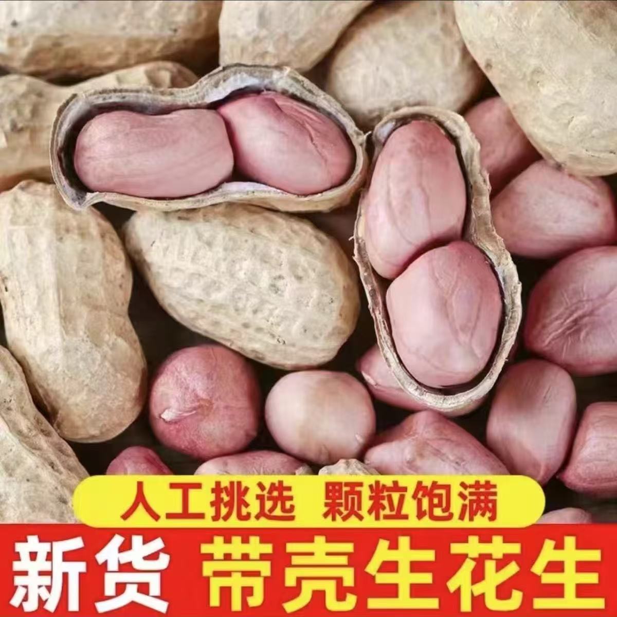 2025年河南当季晒干老品种带壳粉皮花生