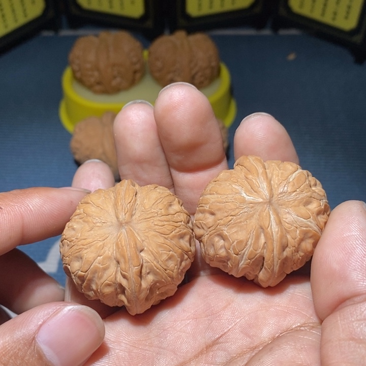 文玩核桃把件元宝全品39