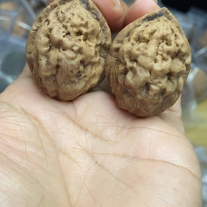 文玩核桃把件云南铁核桃基地42