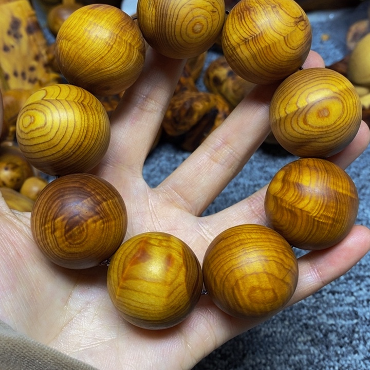 柏木（崖柏）崖柏279