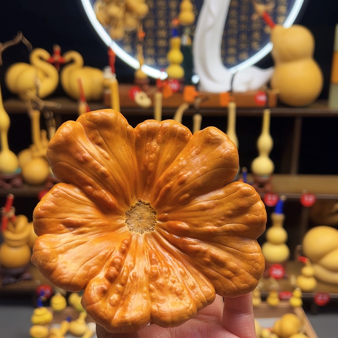 天***长直播间下单葫芦280元