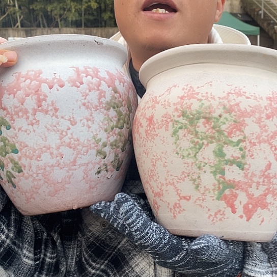 正品品质抓紧入手